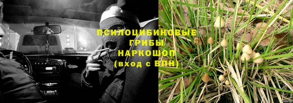 мет Балахна