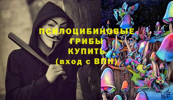 прущие грибы Армянск