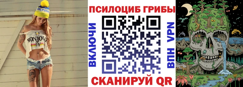Псилоцибиновые грибы Cubensis  Серов 